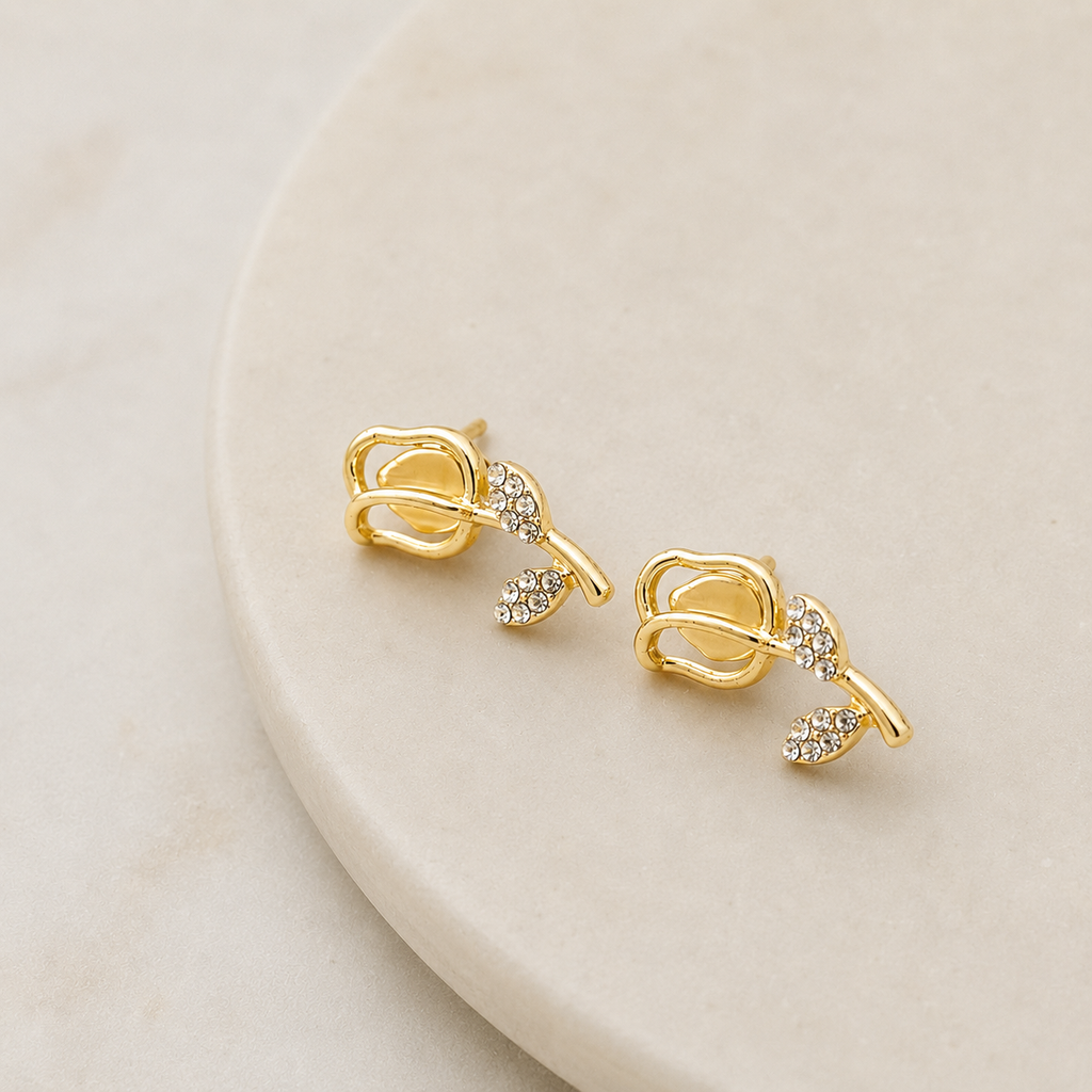 Golden Love Vault for Her - 12 Premium Earrings with Velvet Organizer